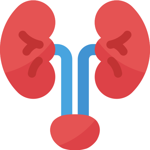 kidney-img